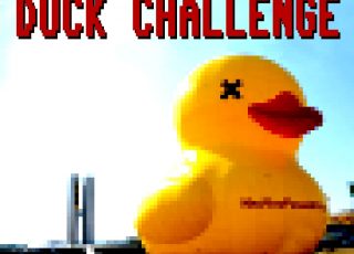 Imagem: Duck Challenge - Estúdio Sckaphii von Koshingg