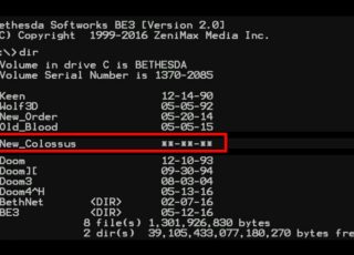 Imegam: reprodução