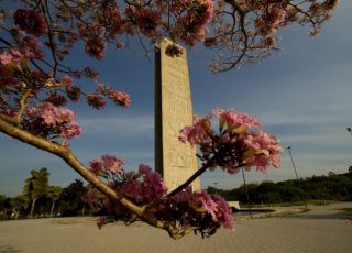 Foto: Divulgação/Agência USP de Notícias