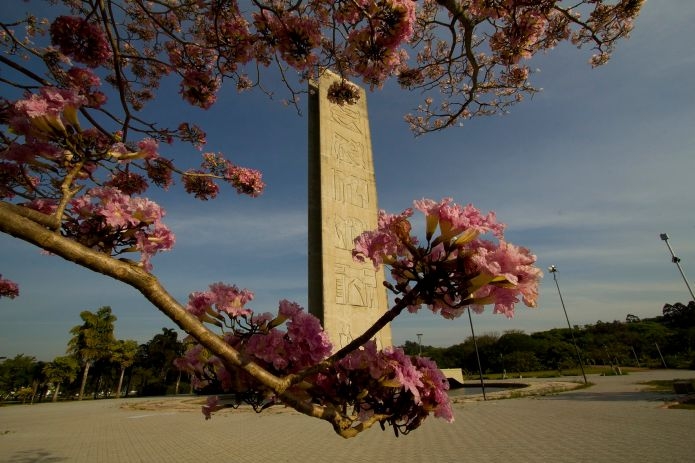 Foto: Divulgação/Agência USP de Notícias