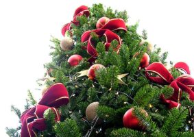 Veja a árvore de Natal