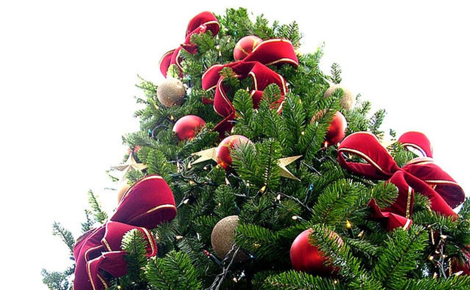 Veja a árvore de Natal