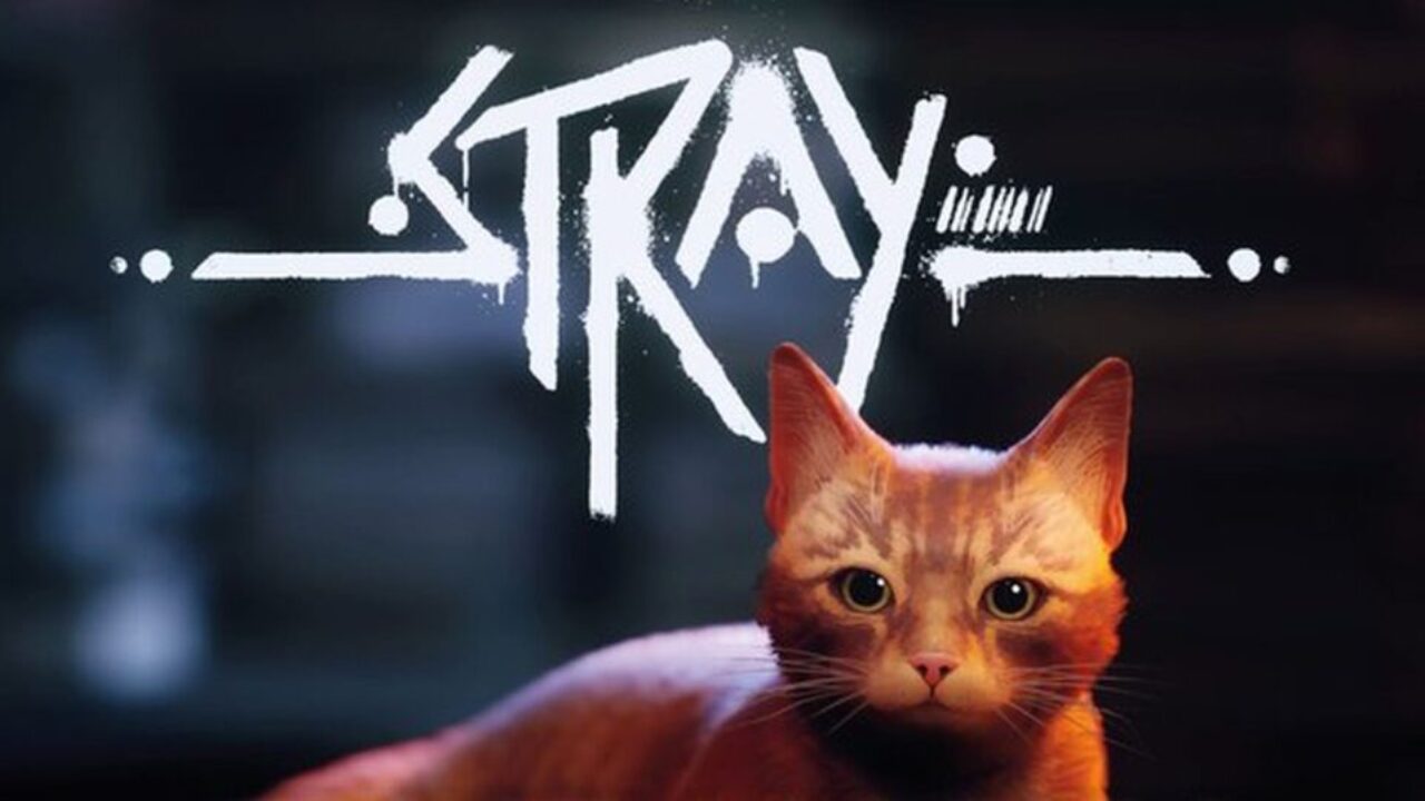 Conheça Stray, o jogo do gatinho cyberpunk