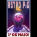Astro Pig. Foto: Divulgação/X