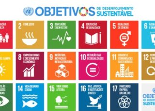 Objetivos de Desenvolvimento Sustentável no Brasil fonte: https://brasil.un.org/pt-br/sdgs