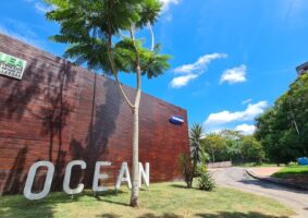 Samsung Ocean abre inscrições para o programa Ocean Beginner 2024. Foto: Divulgação