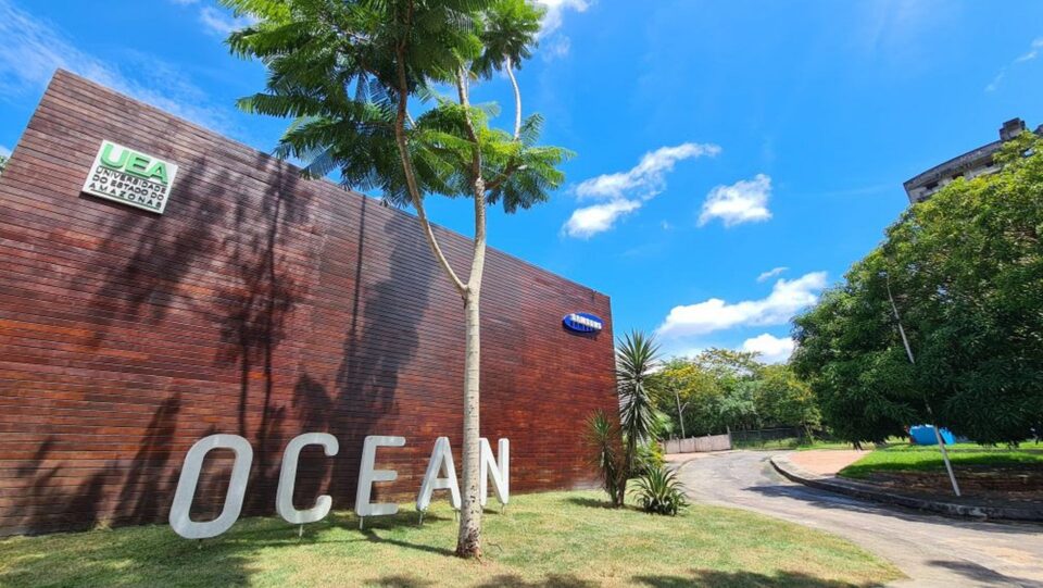 Samsung Ocean abre inscrições para o programa Ocean Beginner 2024. Foto: Divulgação